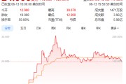 邢台上市首日暴涨140% 军用无人机公司登陆纽交所 AI打造产品核心竞争力