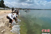 邢台云南江川举行增殖放流活动 逾54万尾鱼游入星云湖